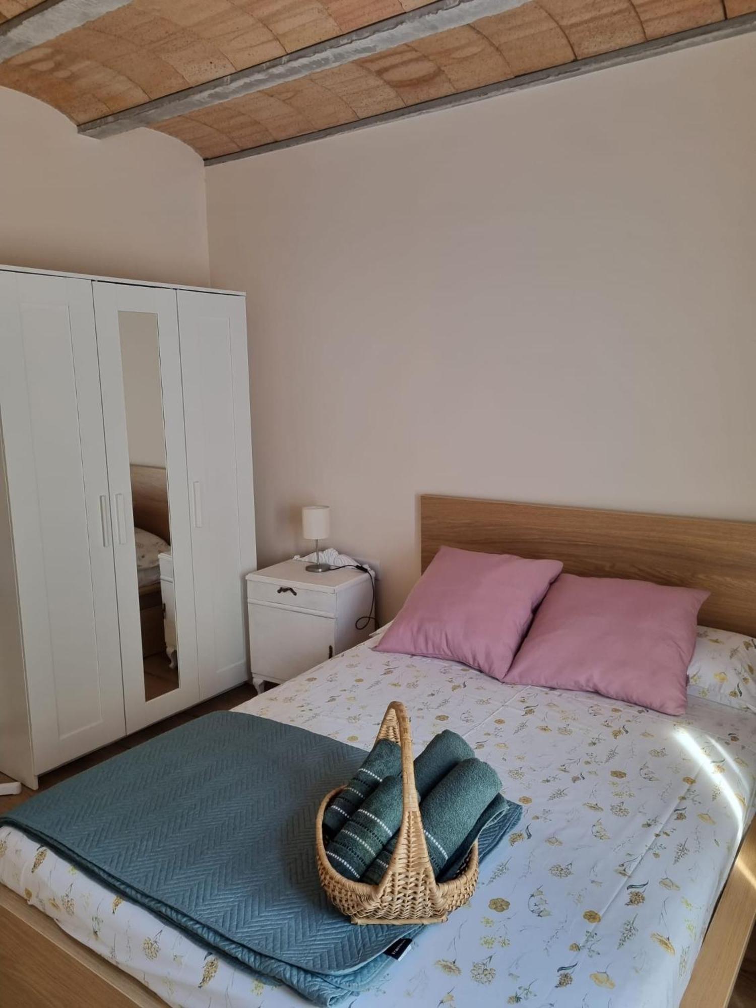 El Niu Dels Ocells Apartment Sant Joan de les Abadesses Exterior photo