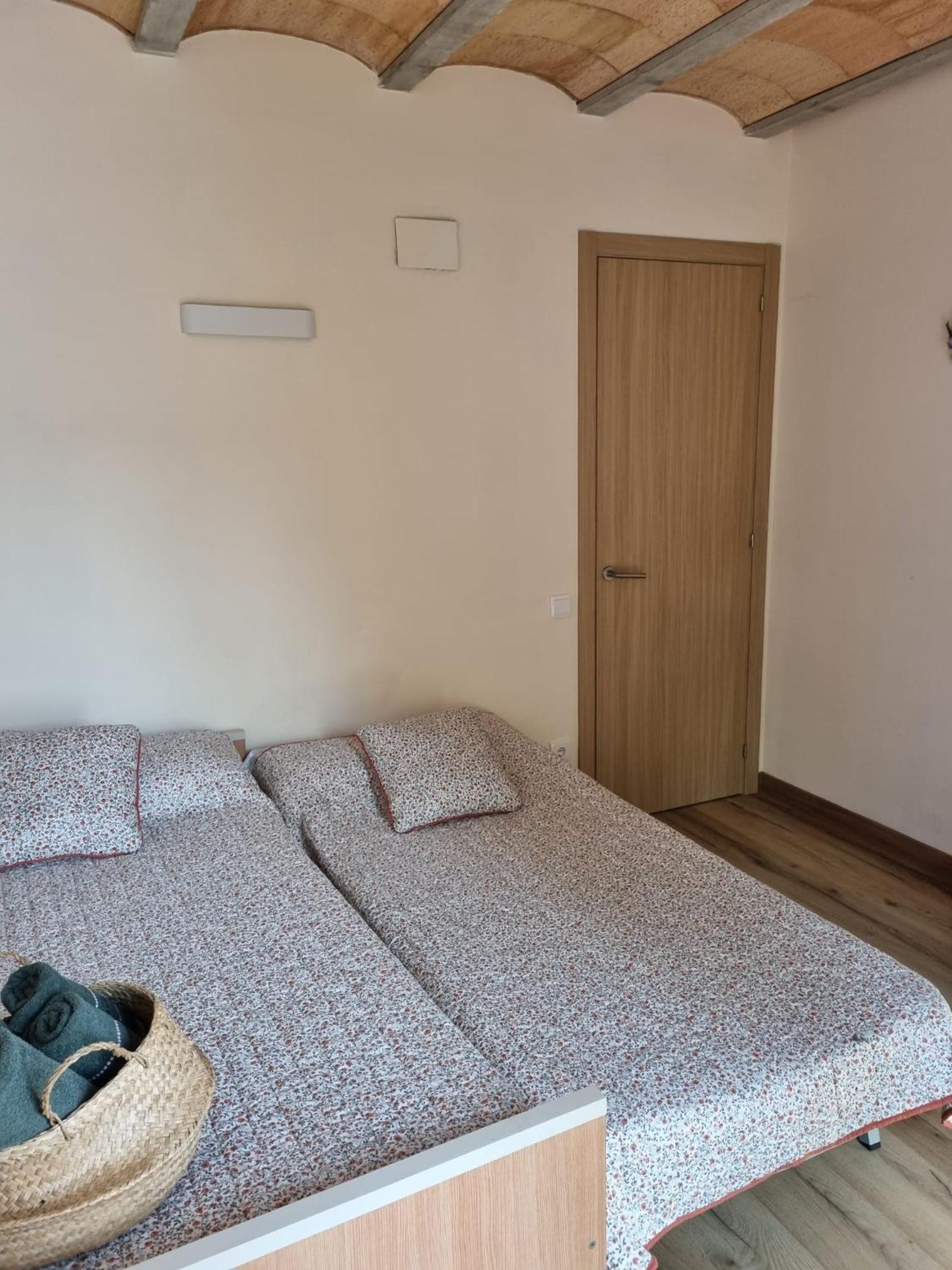 El Niu Dels Ocells Apartment Sant Joan de les Abadesses Exterior photo